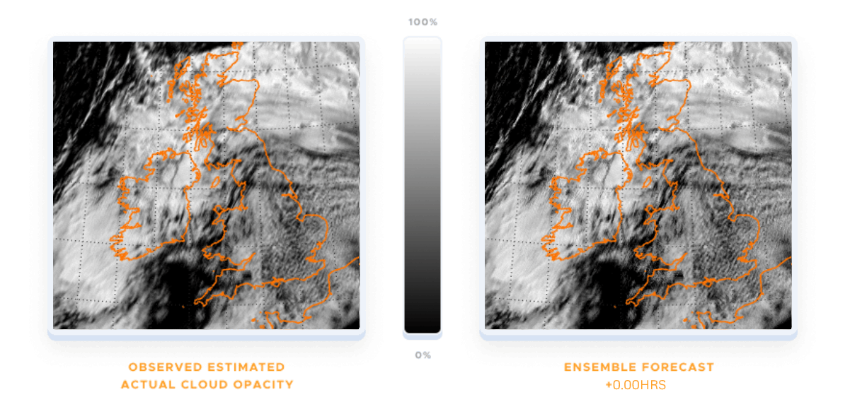 Observed estimated actual cloud opacity and ensemble forecast